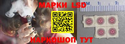 стаф Брянск
