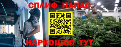 крисы Владикавказ